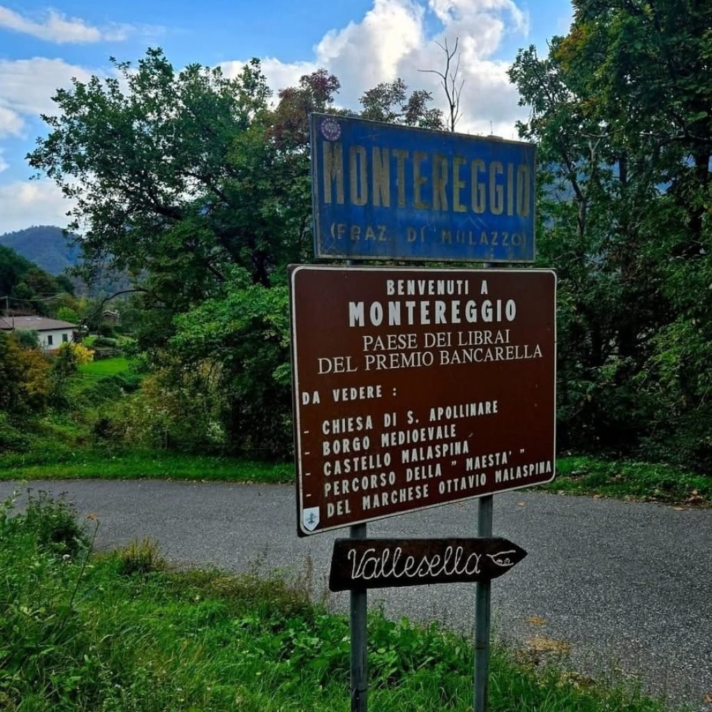 WhatsApp Image 2025-12-19 at 14.25.09