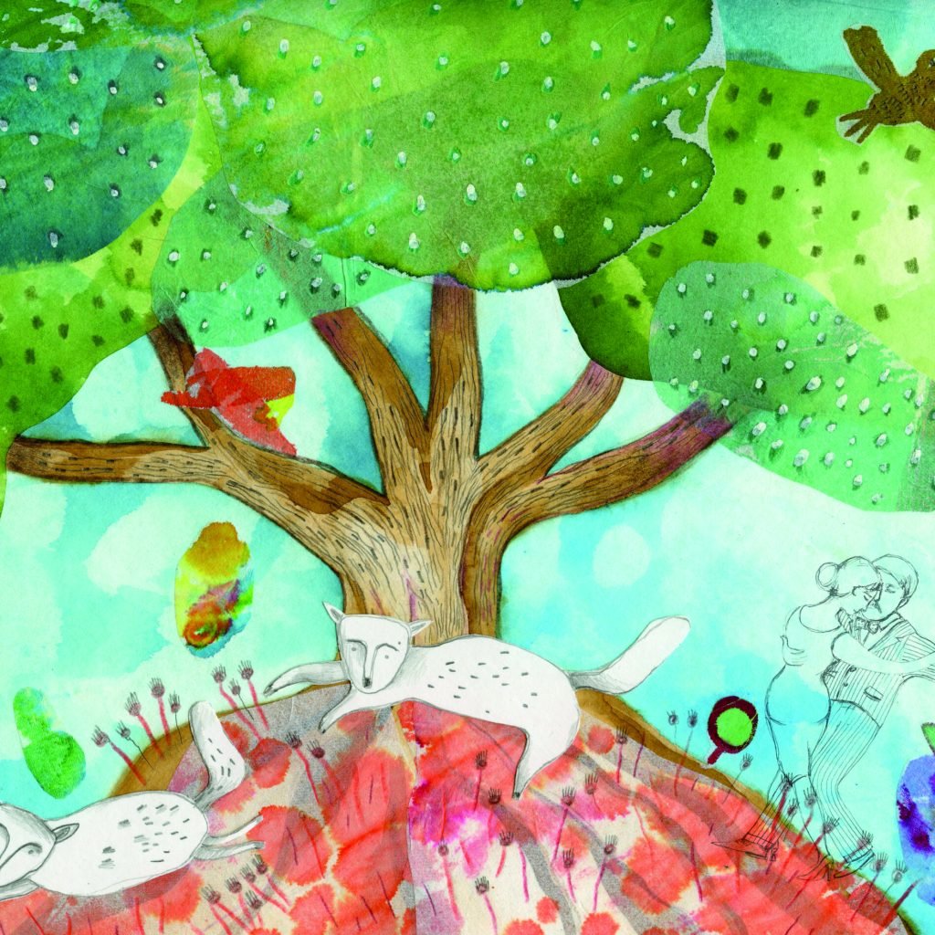 imagen para tapa y contratapa